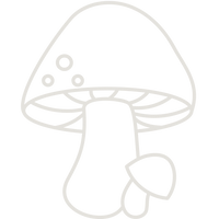 1200 mg d’extraits de champignons par tasse