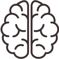 Soutient la clarté mentale et la concentration