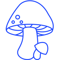 1200mg d'extraits concentrés de champignons par tasse pour une efficacité optimale