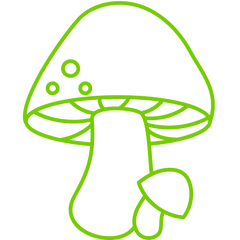 1200mg d'extraits concentrés de champignons par tasse pour une efficacité optimale