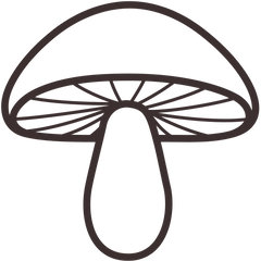 1200mg d'extraits purs de champignons adaptogènes dans chaque portions, un dosage efficace pour soutenir l'énergie, la concentration et le bien-être