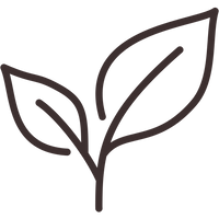 Soutient la neurogenèse et la santé du cerveau